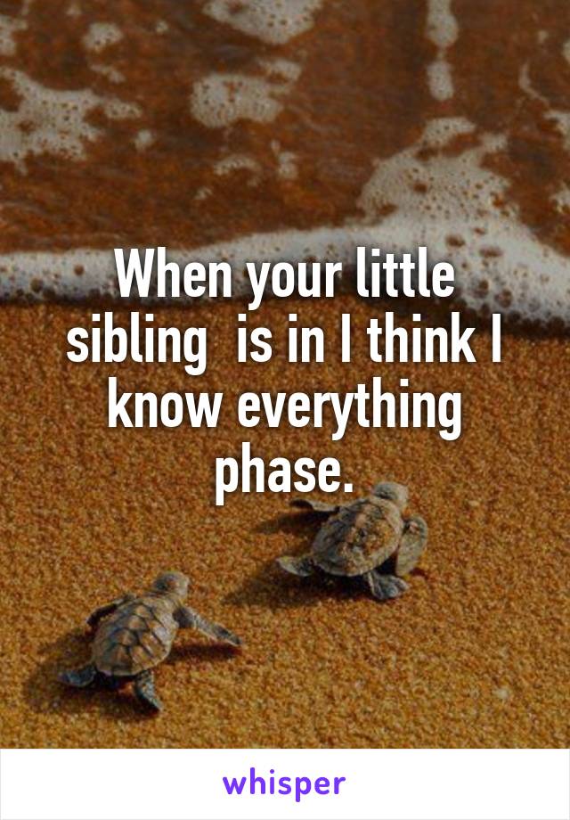 When your little sibling  is in I think I know everything phase.
