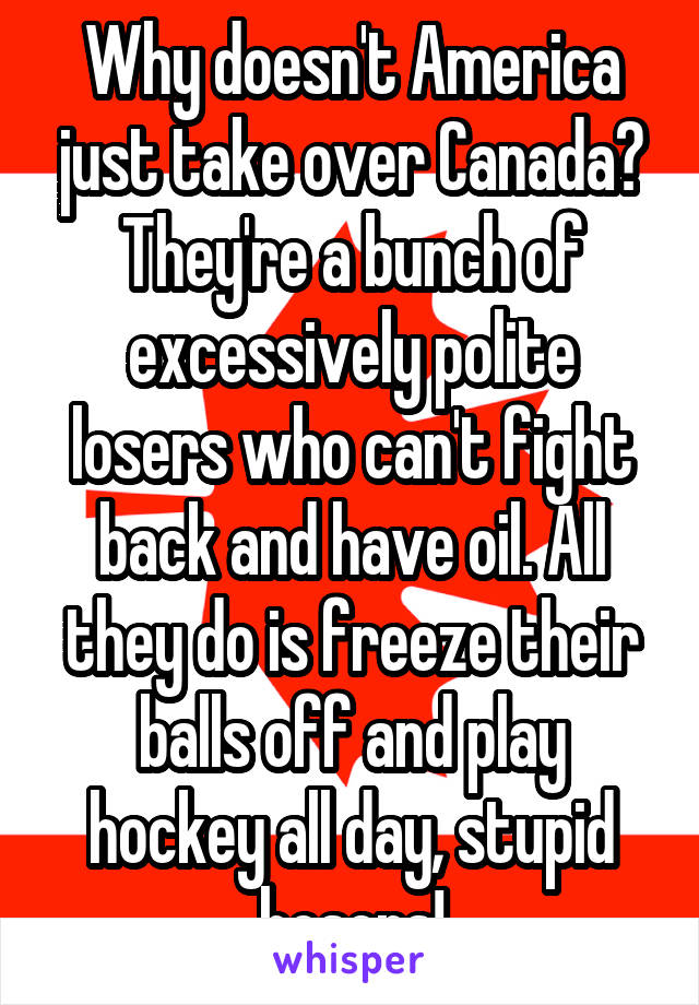 Why doesn't America just take over Canada? They're a bunch of excessively polite losers who can't fight back and have oil. All they do is freeze their balls off and play hockey all day, stupid hosers!