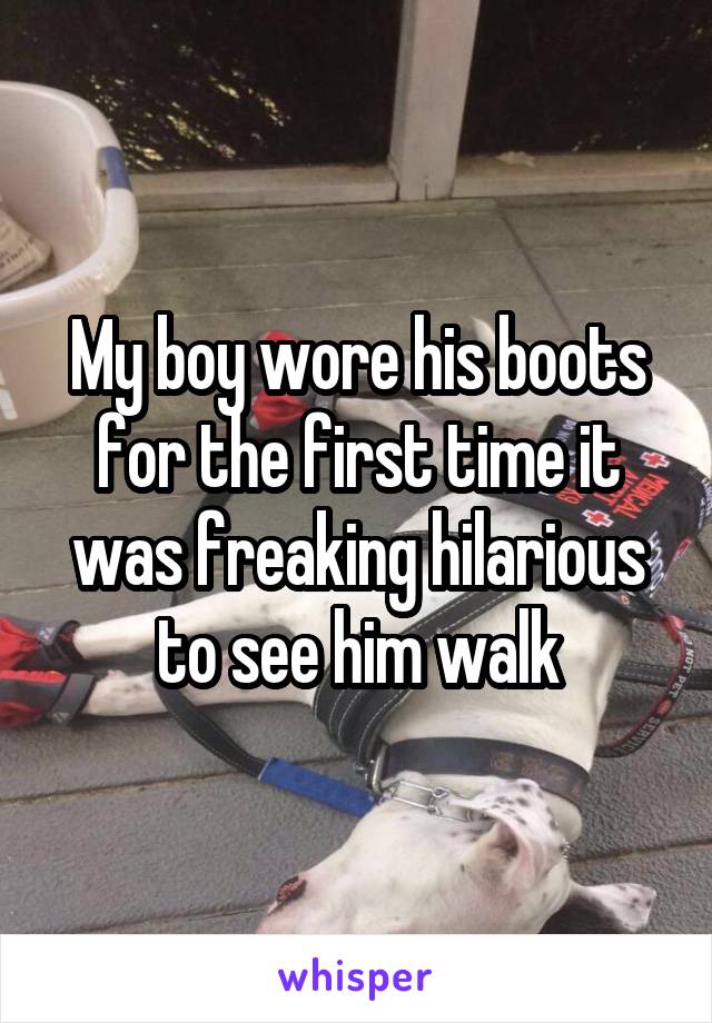 My boy wore his boots for the first time it was freaking hilarious to see him walk