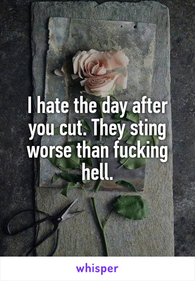 I hate the day after you cut. They sting worse than fucking hell.