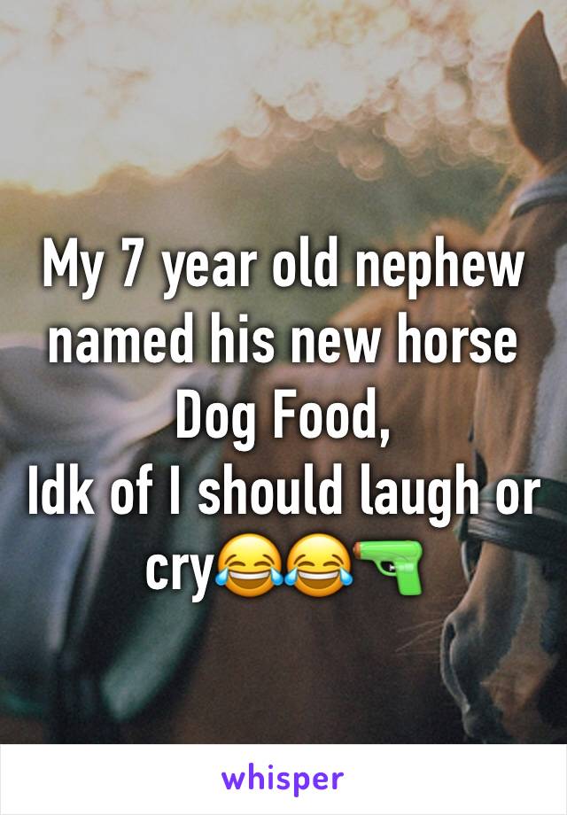 My 7 year old nephew named his new horse Dog Food,
Idk of I should laugh or cry😂😂🔫