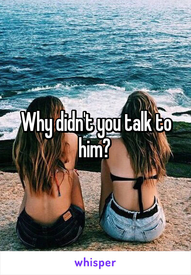 Why didn't you talk to him? 