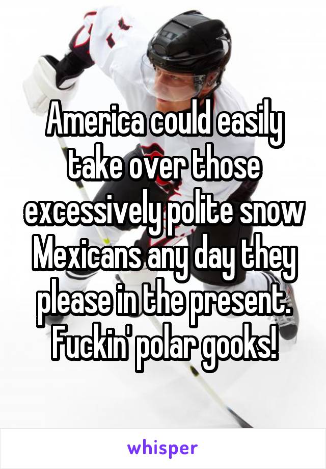 America could easily take over those excessively polite snow Mexicans any day they please in the present. Fuckin' polar gooks!