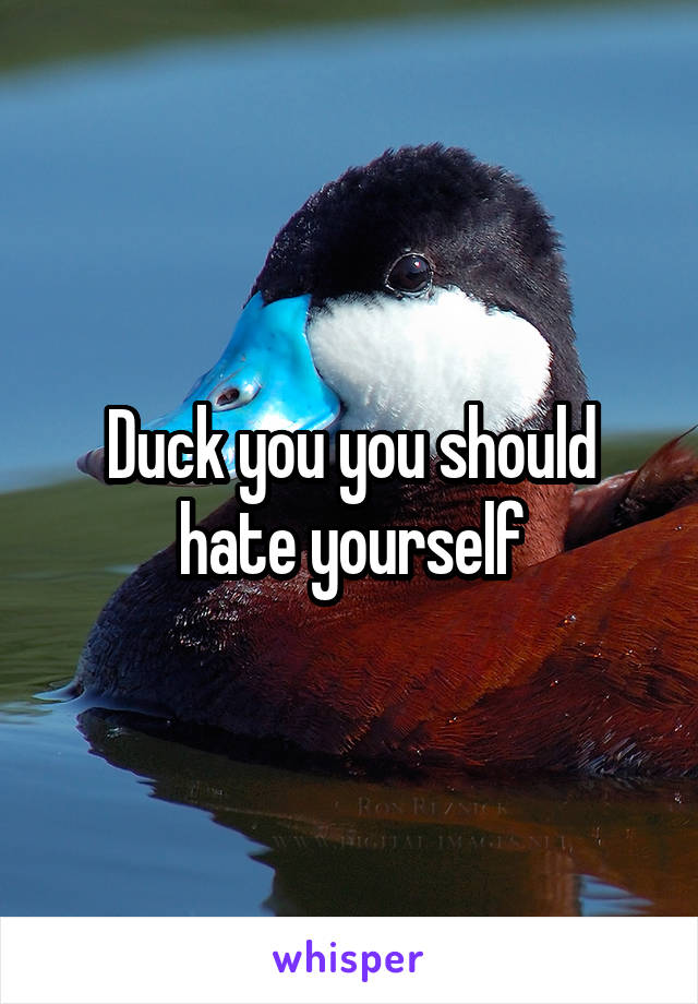 Duck you you should hate yourself