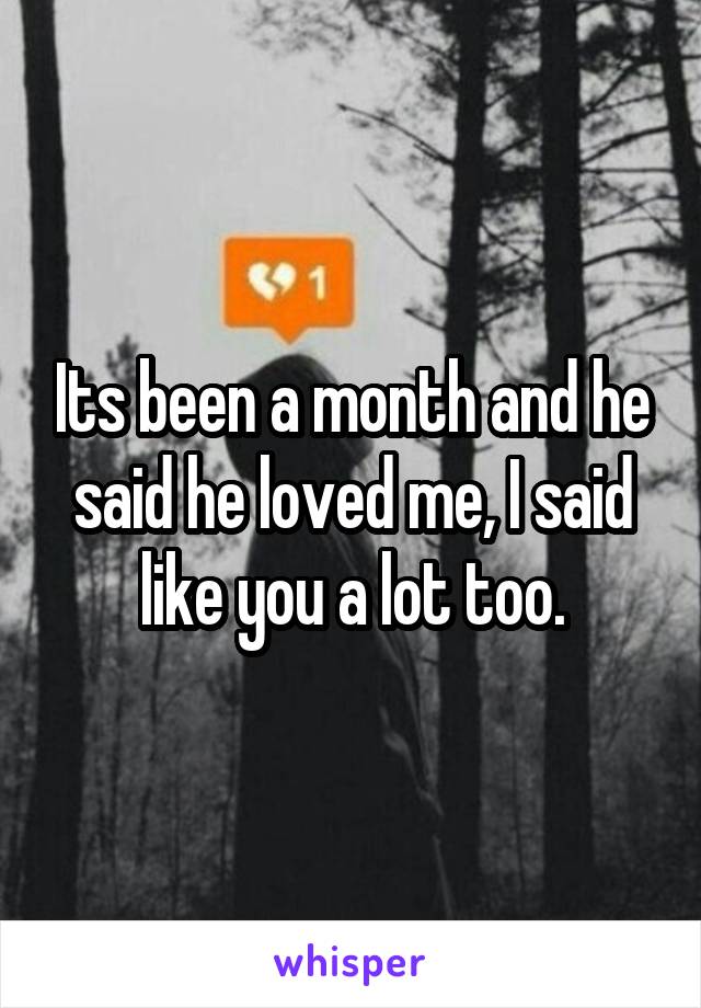 Its been a month and he said he loved me, I said like you a lot too.