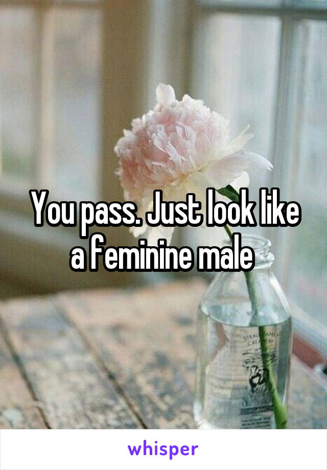 You pass. Just look like a feminine male 