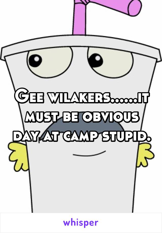 Gee wilakers......it must be obvious day at camp stupid.