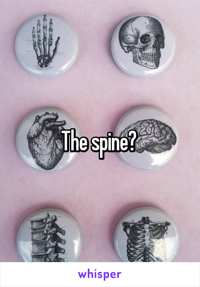 The spine? 