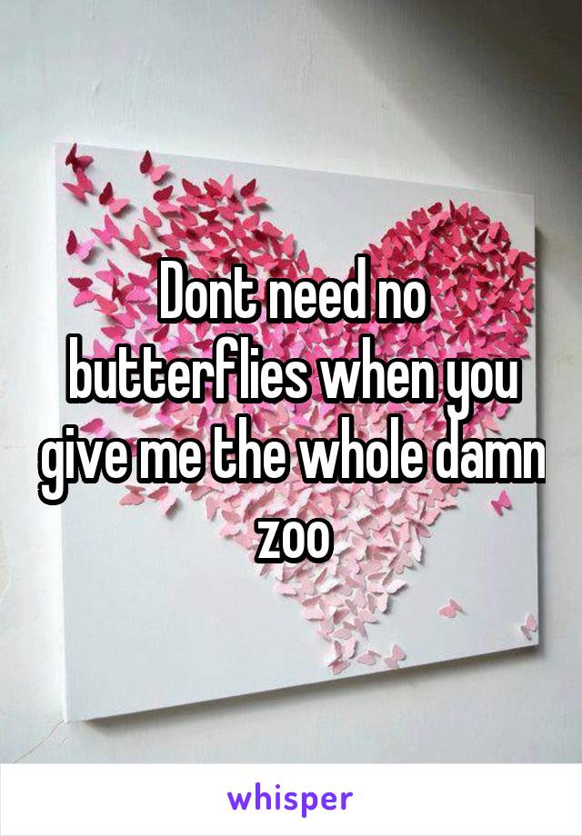 Dont need no butterflies when you give me the whole damn zoo