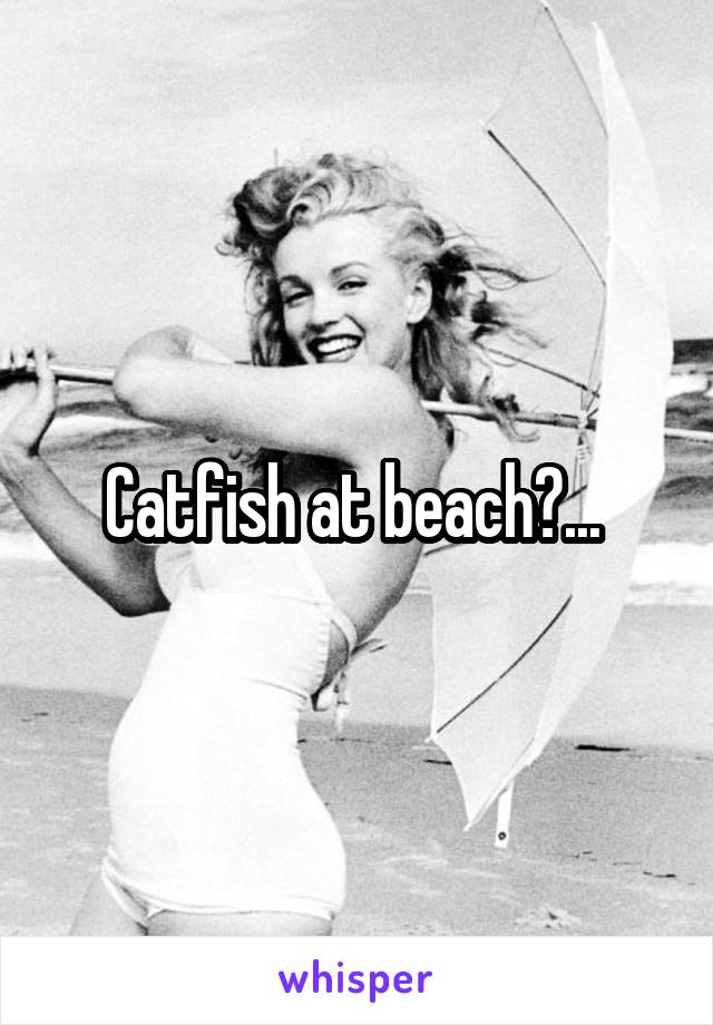Catfish at beach?... 