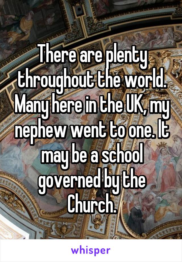 There are plenty throughout the world. Many here in the UK, my nephew went to one. It may be a school governed by the Church.