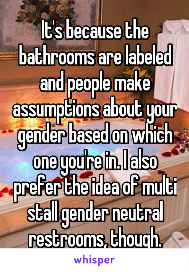 It's because the bathrooms are labeled and people make assumptions about your gender based on which one you're in. I also prefer the idea of multi stall gender neutral restrooms, though.