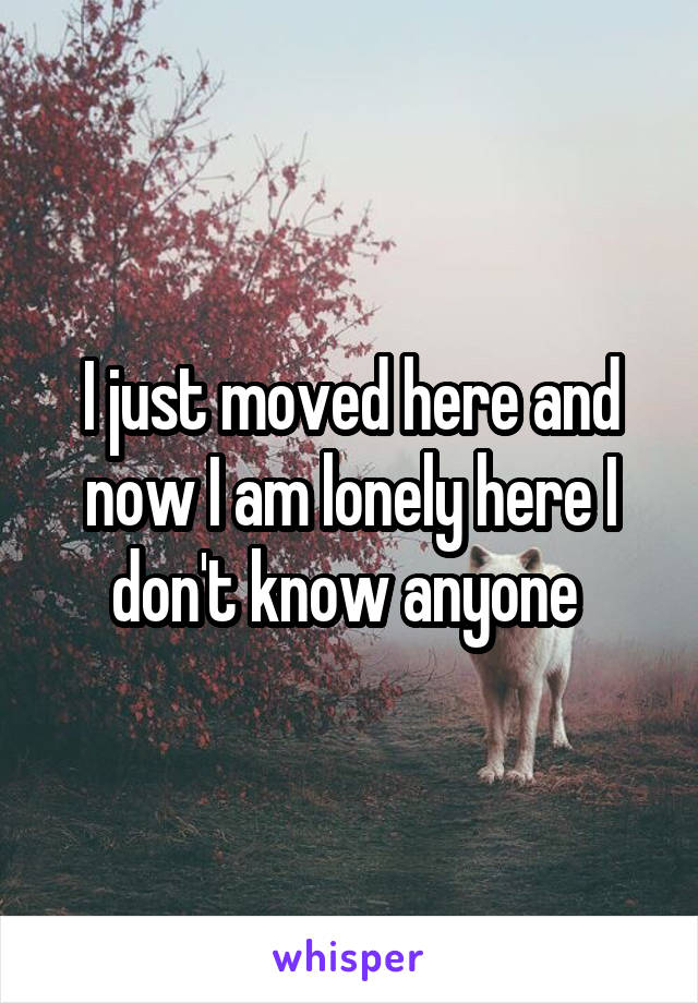 I just moved here and now I am lonely here I don't know anyone 