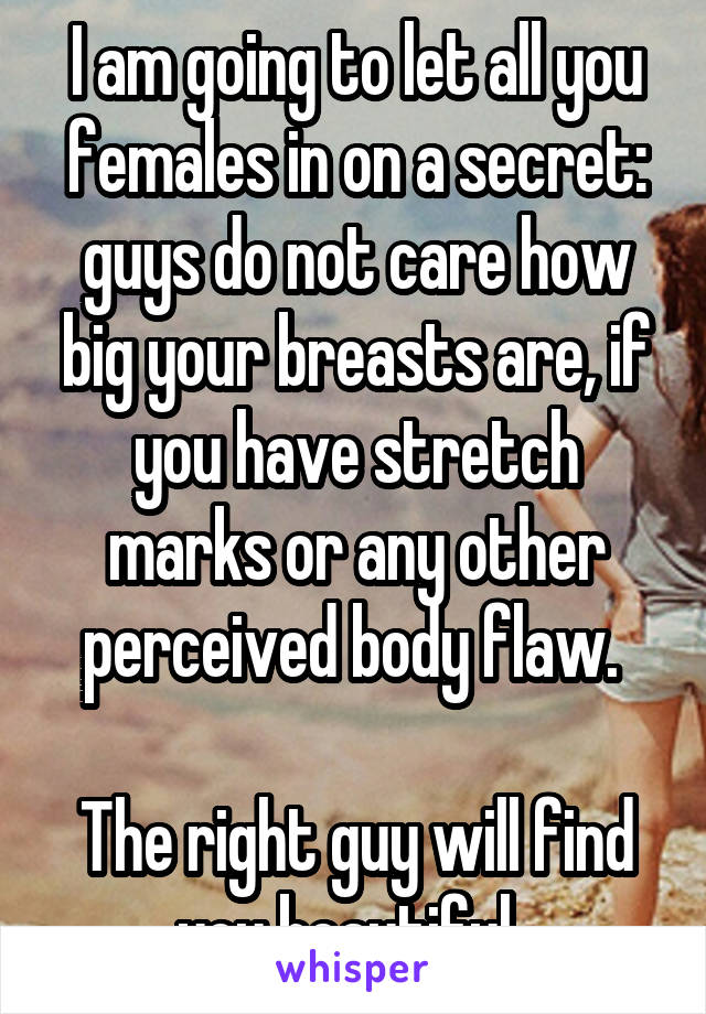 I am going to let all you females in on a secret: guys do not care how big your breasts are, if you have stretch marks or any other perceived body flaw. 

The right guy will find you beautiful. 