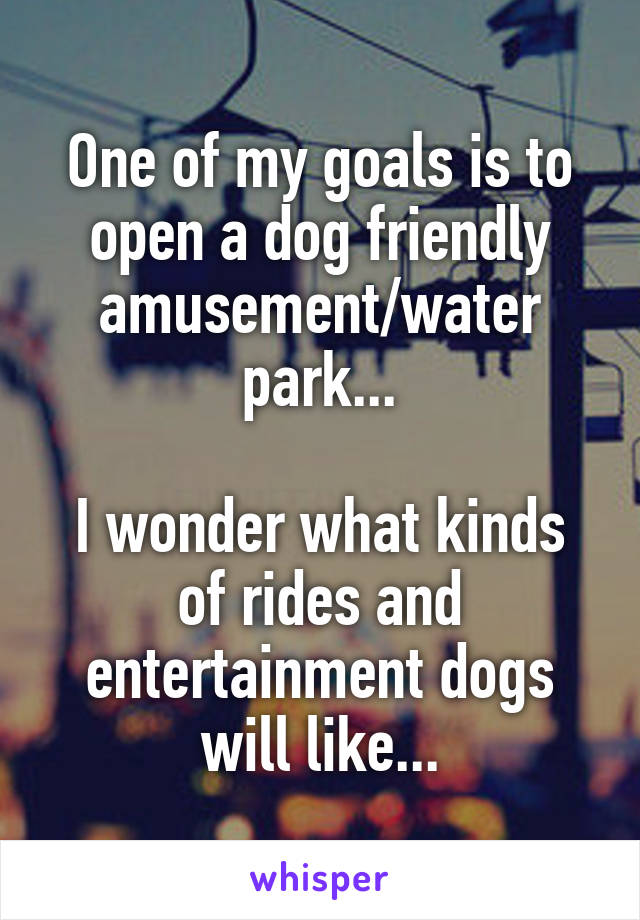 One of my goals is to open a dog friendly amusement/water park...

I wonder what kinds of rides and entertainment dogs will like...