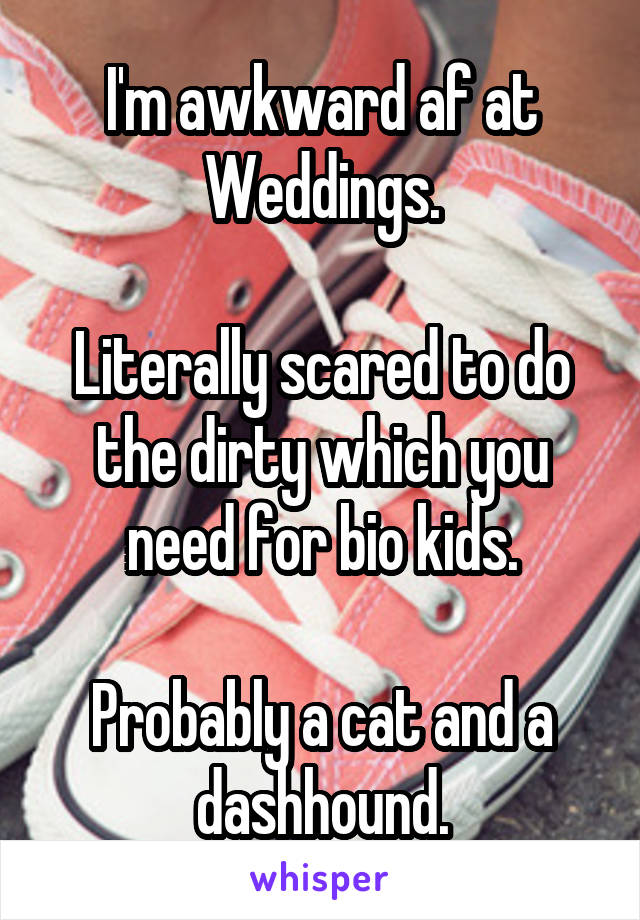I'm awkward af at Weddings.

Literally scared to do the dirty which you need for bio kids.

Probably a cat and a dashhound.