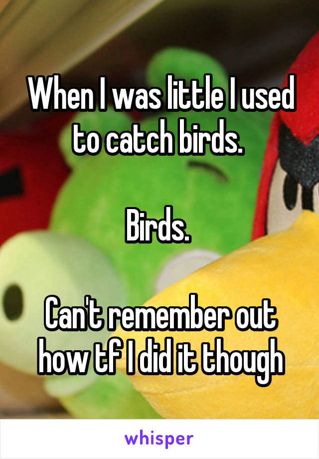 When I was little I used to catch birds. 

Birds. 

Can't remember out how tf I did it though