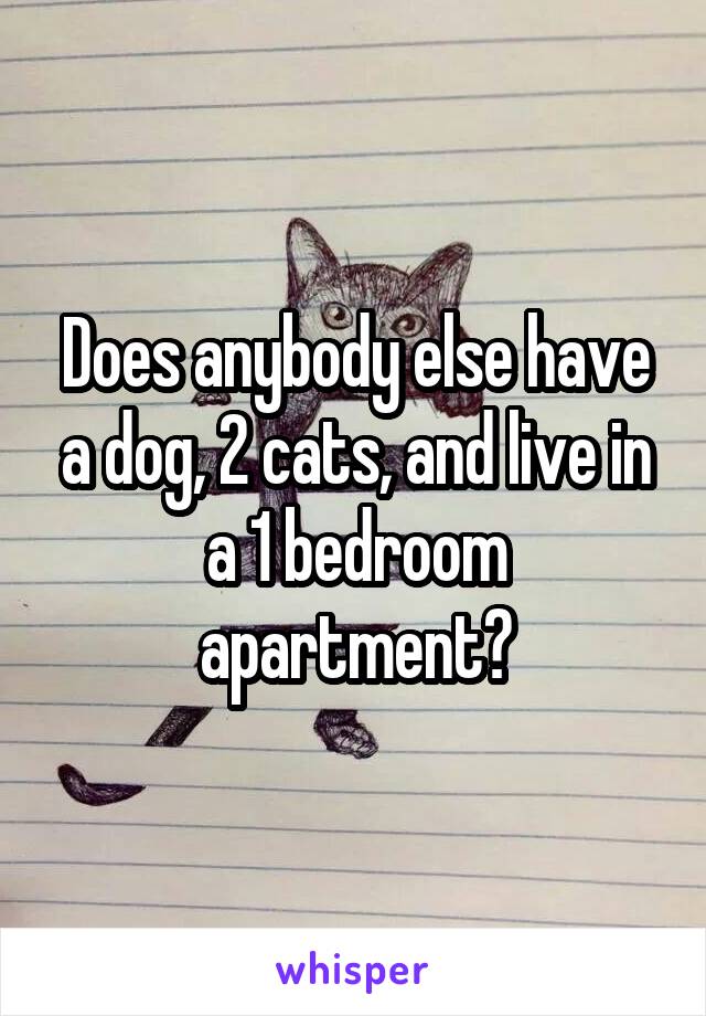 Does anybody else have a dog, 2 cats, and live in a 1 bedroom apartment?