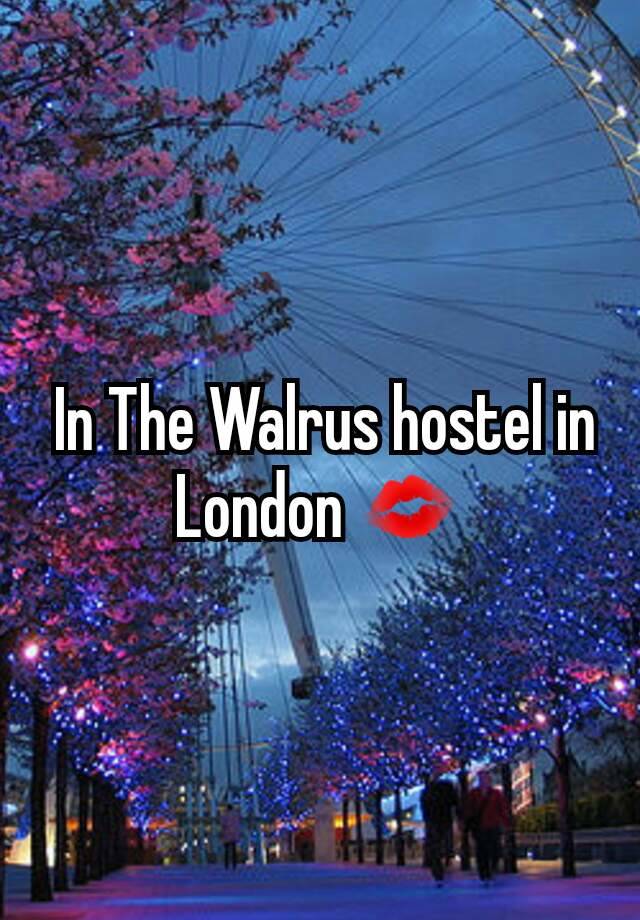  In The Walrus hostel in London 💋