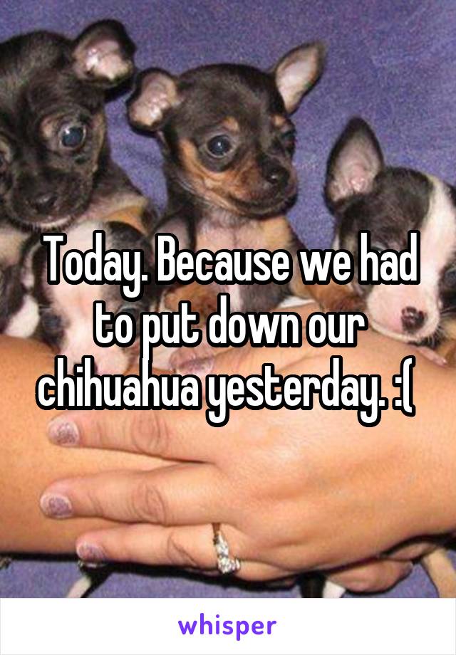 Today. Because we had to put down our chihuahua yesterday. :( 