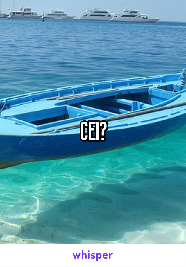 CEI?