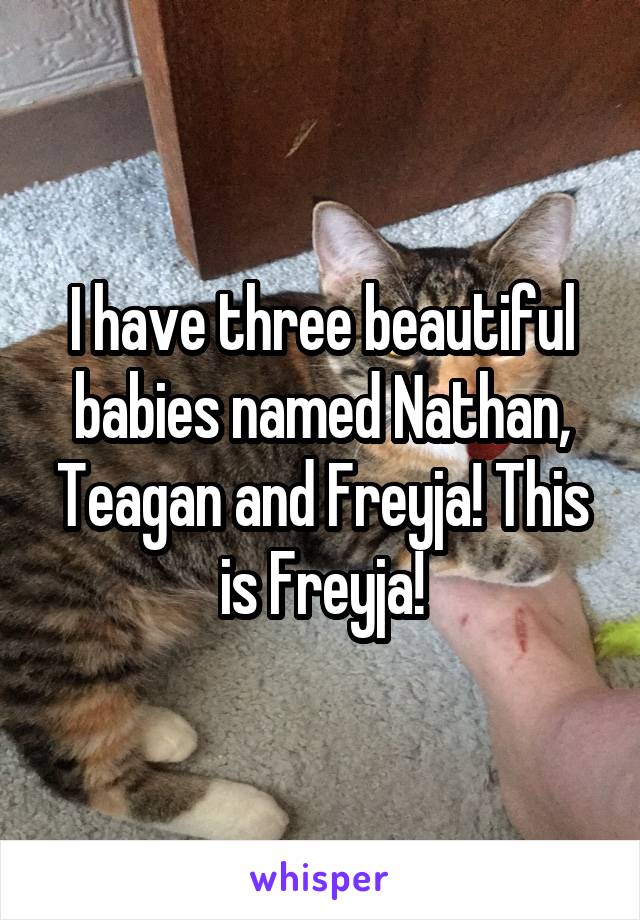 I have three beautiful babies named Nathan, Teagan and Freyja! This is Freyja!