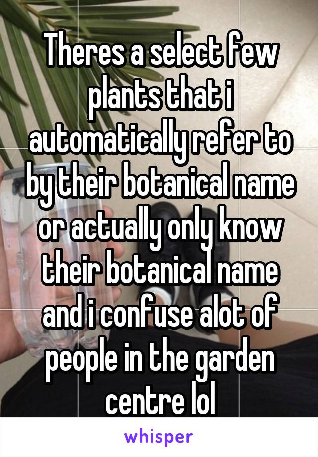 Theres a select few plants that i automatically refer to by their botanical name or actually only know their botanical name and i confuse alot of people in the garden centre lol