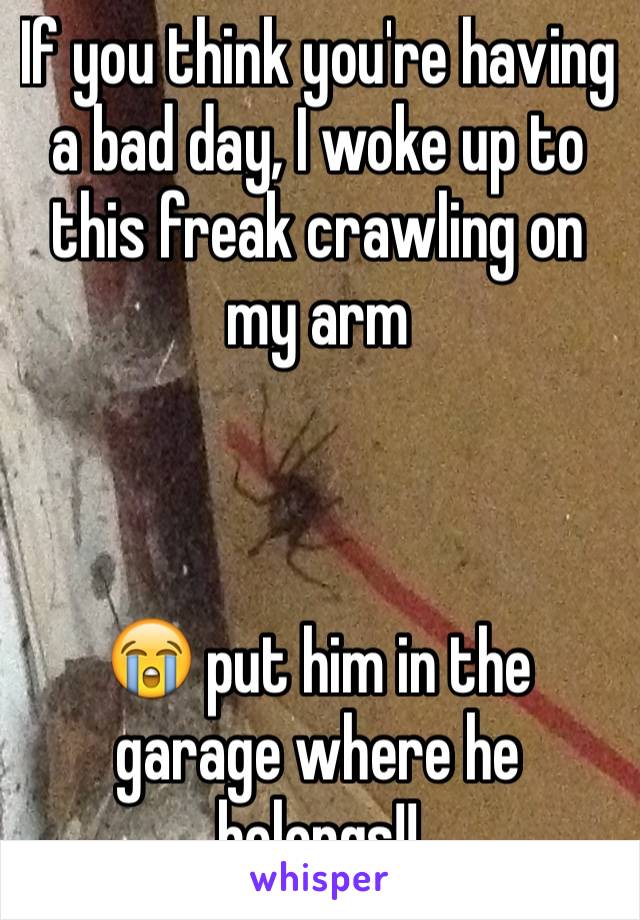 If you think you're having a bad day, I woke up to this freak crawling on my arm 



😭 put him in the garage where he belongs!!