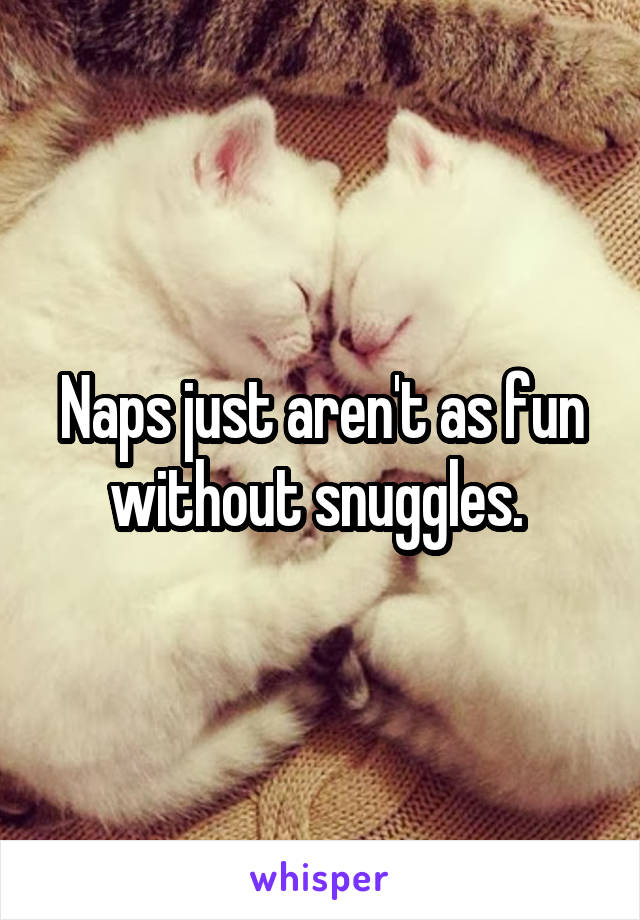 Naps just aren't as fun without snuggles. 