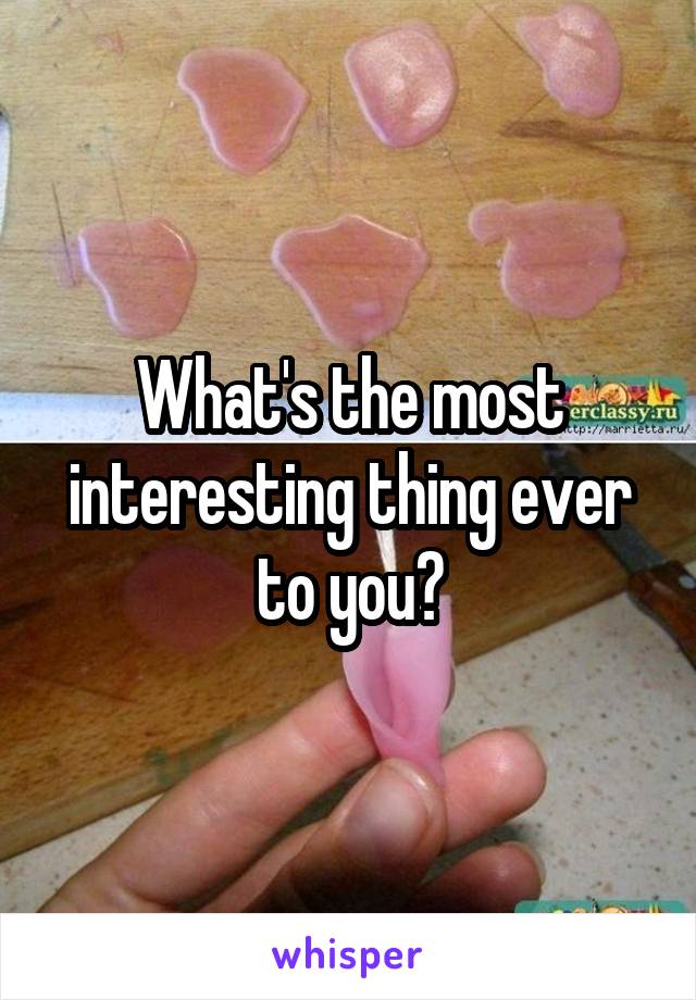 What's the most interesting thing ever to you?