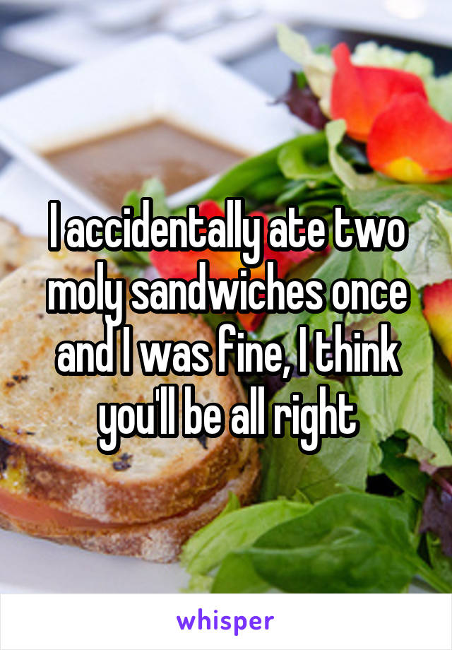 I accidentally ate two moly sandwiches once and I was fine, I think you'll be all right