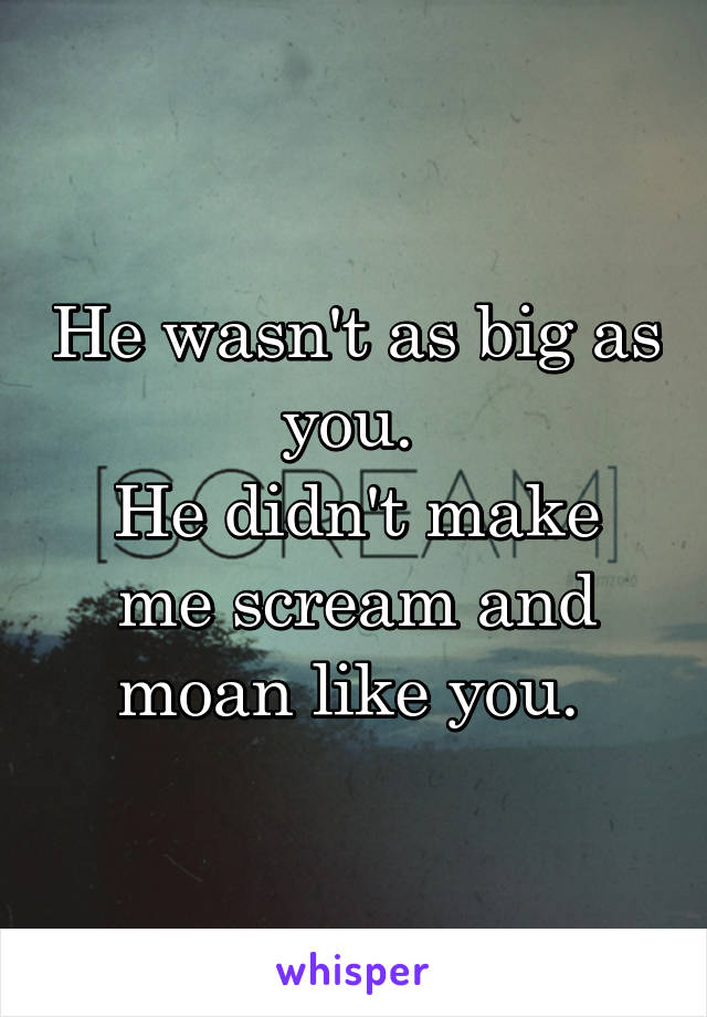 He wasn't as big as you. 
He didn't make me scream and moan like you. 