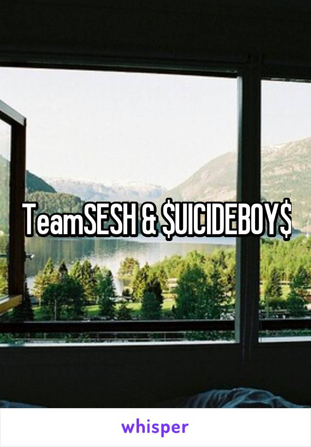 TeamSESH & $UICIDEBOY$