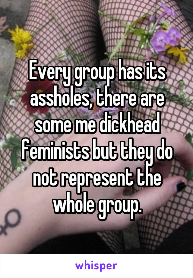Every group has its assholes, there are some me dickhead feminists but they do not represent the whole group.