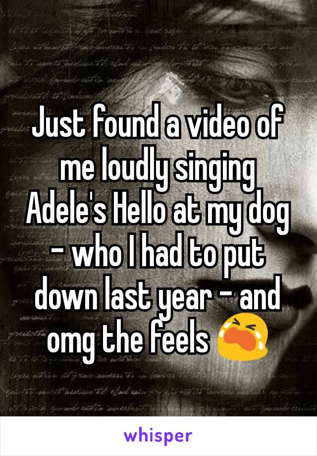 Just found a video of me loudly singing Adele's Hello at my dog - who I had to put down last year - and omg the feels 😭