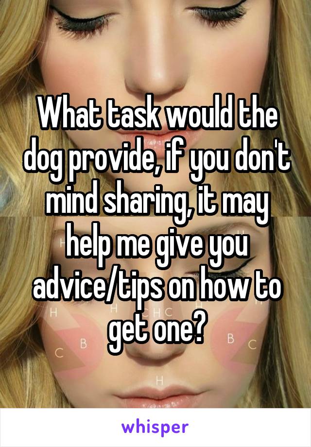 What task would the dog provide, if you don't mind sharing, it may help me give you advice/tips on how to get one?