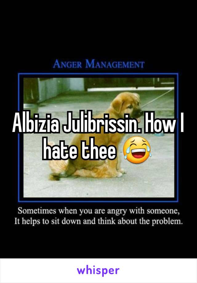 Albizia Julibrissin. How I hate thee 😂