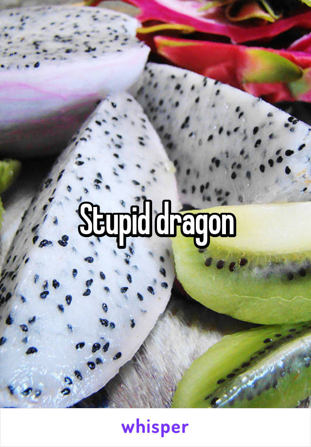 Stupid dragon