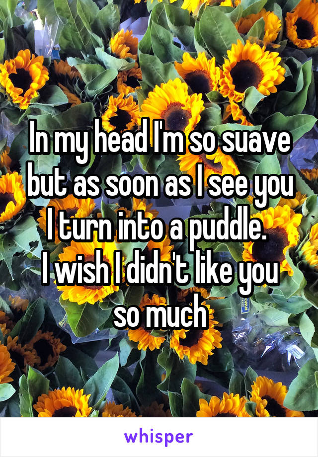 In my head I'm so suave but as soon as I see you I turn into a puddle. 
I wish I didn't like you so much