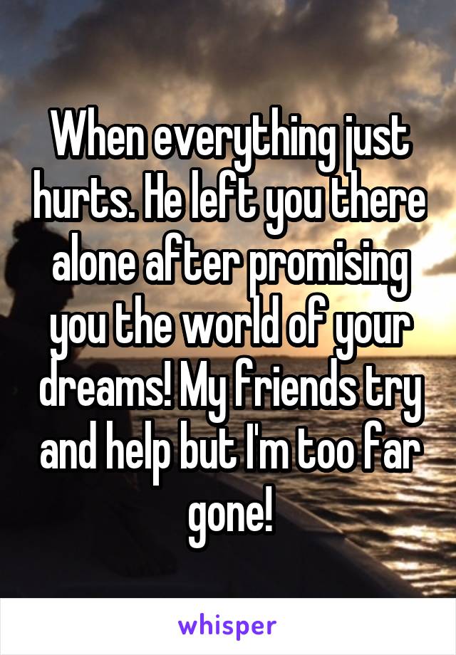 When everything just hurts. He left you there alone after promising you the world of your dreams! My friends try and help but I'm too far gone!