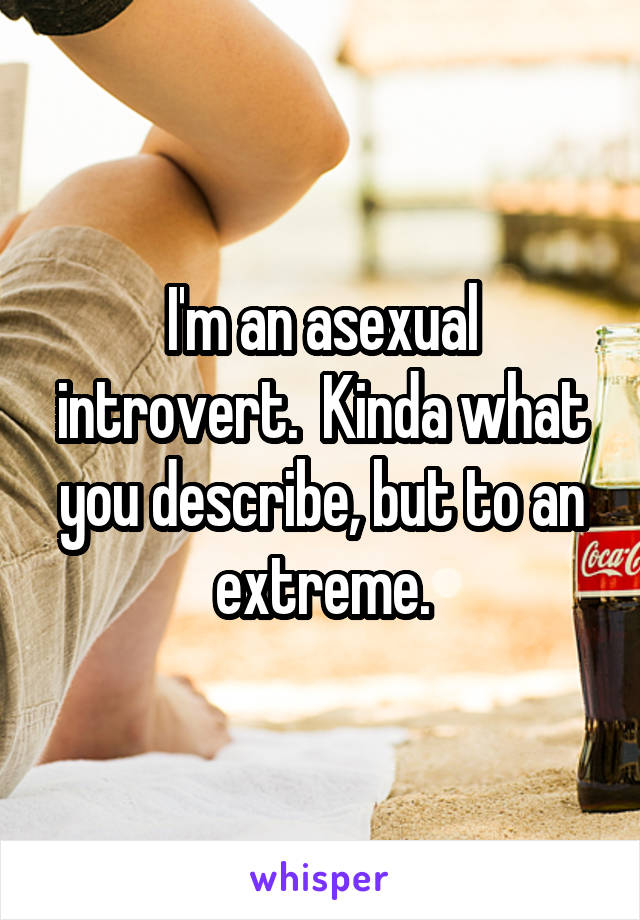 I'm an asexual introvert.  Kinda what you describe, but to an extreme.