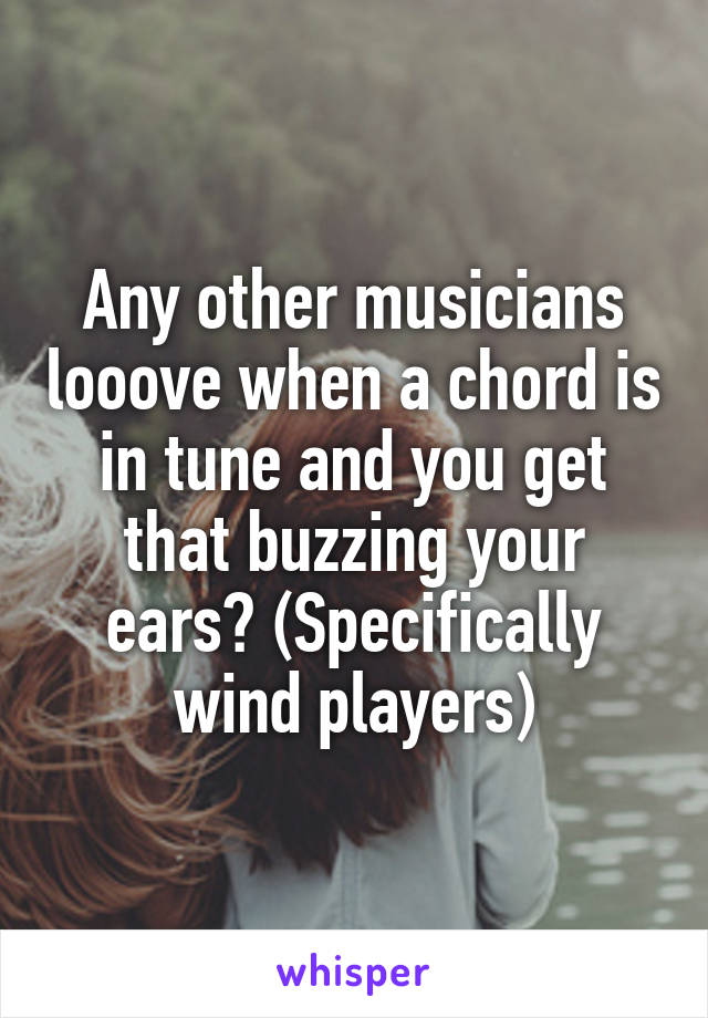 Any other musicians looove when a chord is in tune and you get that buzzing your ears? (Specifically wind players)