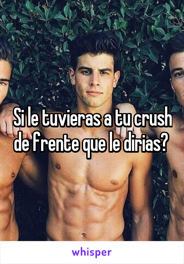 Si le tuvieras a tu crush de frente que le dirias? 