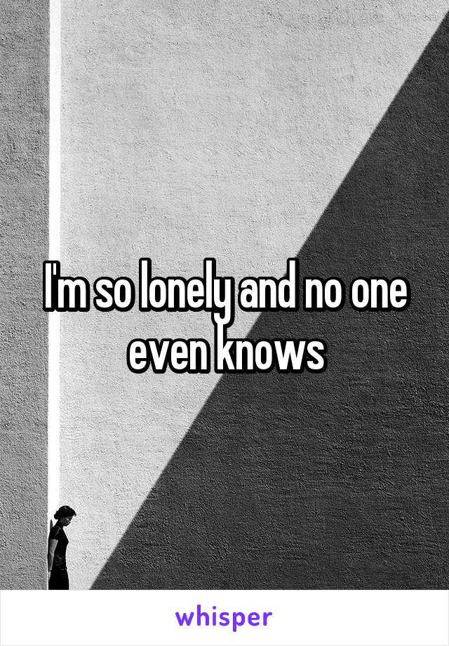 I'm so lonely and no one even knows