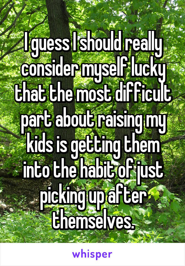 I guess I should really consider myself lucky that the most difficult part about raising my kids is getting them into the habit of just picking up after themselves.