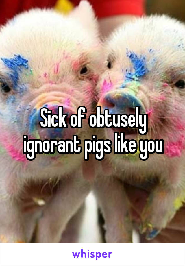 Sick of obtusely ignorant pigs like you