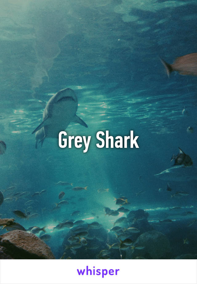 Grey Shark