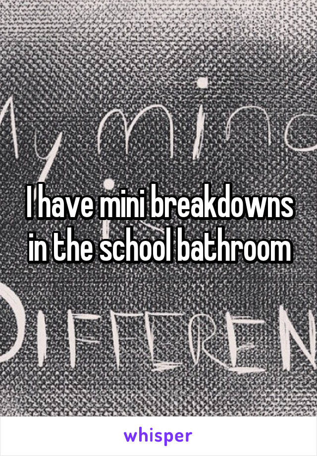 I have mini breakdowns in the school bathroom