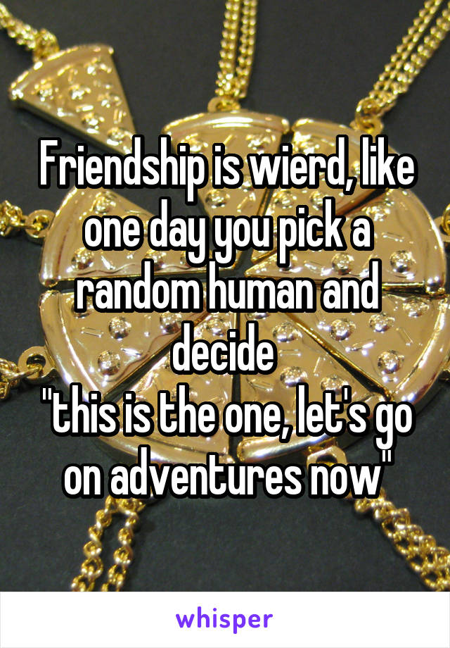 Friendship is wierd, like one day you pick a random human and decide 
"this is the one, let's go on adventures now"