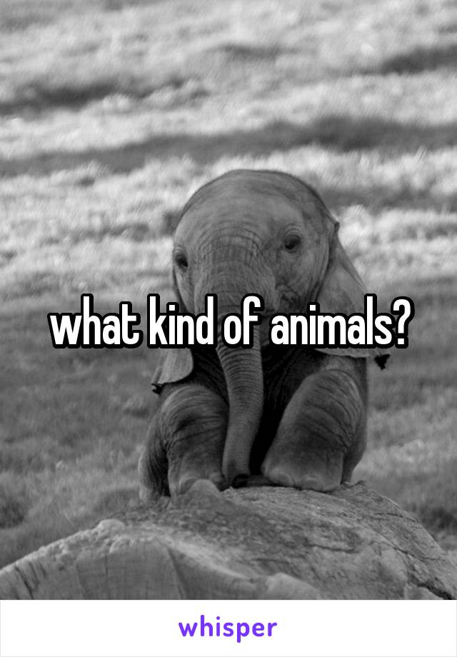 what-kind-of-animals